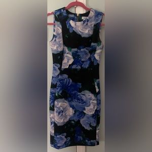 Beautiful Calvin Klein dress